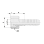 20411T ESP. H. METR. LIVIANA RECTA PARA MANGUERA R1 - R2 - R12 - 4SP