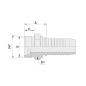 10511 ESP. M. METR. PESADA RECTA PARA MANGUERA R1 - R2 - R12 - 4SP 10511 ESP. M. METR. PESADA RECTA PARA MANGUERA R1 - R2 - R12 - 4SP