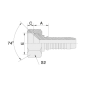 20711T ESP. H. CONO 37° MÉTRICA RECTA PARA MANGUERA R2 - R12